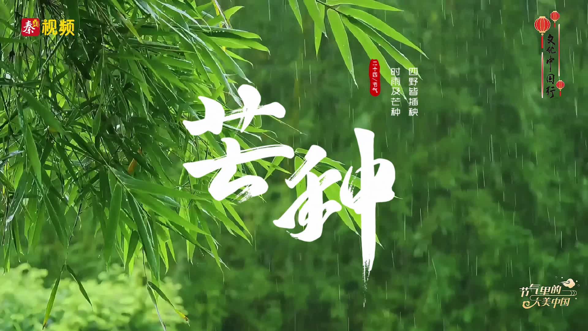 二十四节气•芒种| 忙而不茫，收获希望