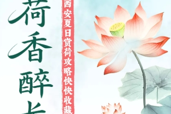 H5｜一池荷香醉长安  西安夏日赏荷攻略快快收藏！