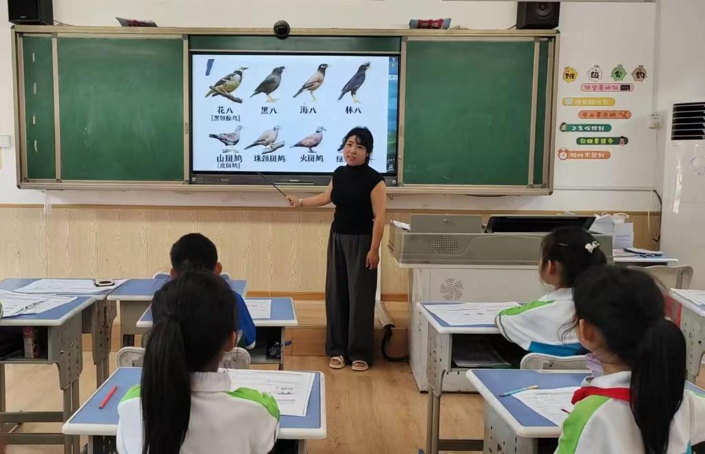 保护野生鸟类 守护生态家园