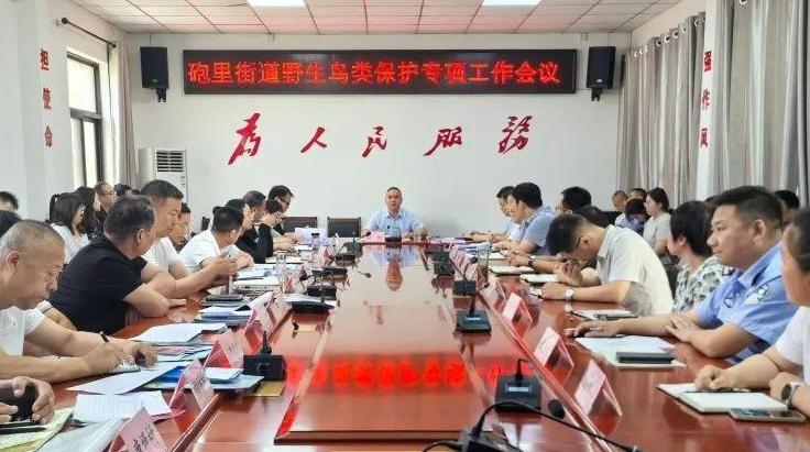 “三网协同”筑牢野生鸟类保护防线