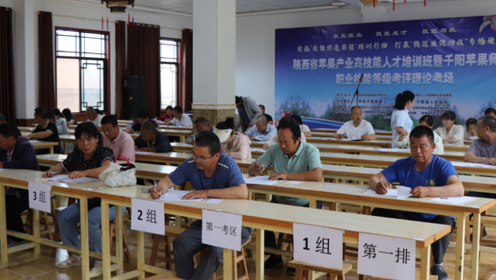 150名“千阳苹果师傅”考“文凭”