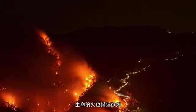 AED急救科普视频上线  聚焦黄金4分钟营救
