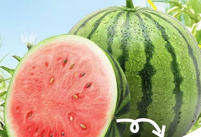 H5丨如何正确吃瓜？