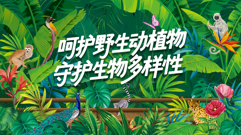 专题丨呵护野生动植物 守护生物多样性