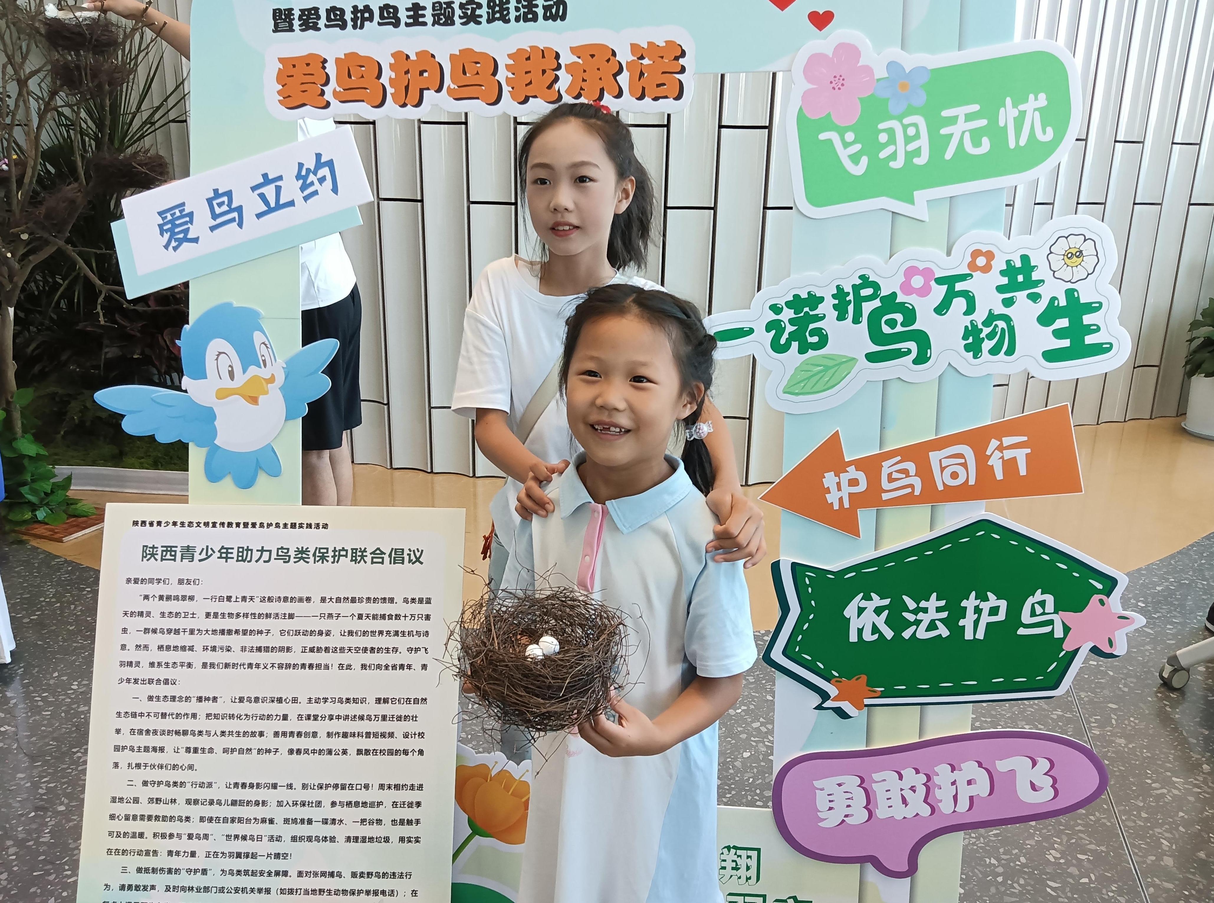 拼鸟巢、学法律、读鸟书……陕西这样教孩子爱鸟护鸟