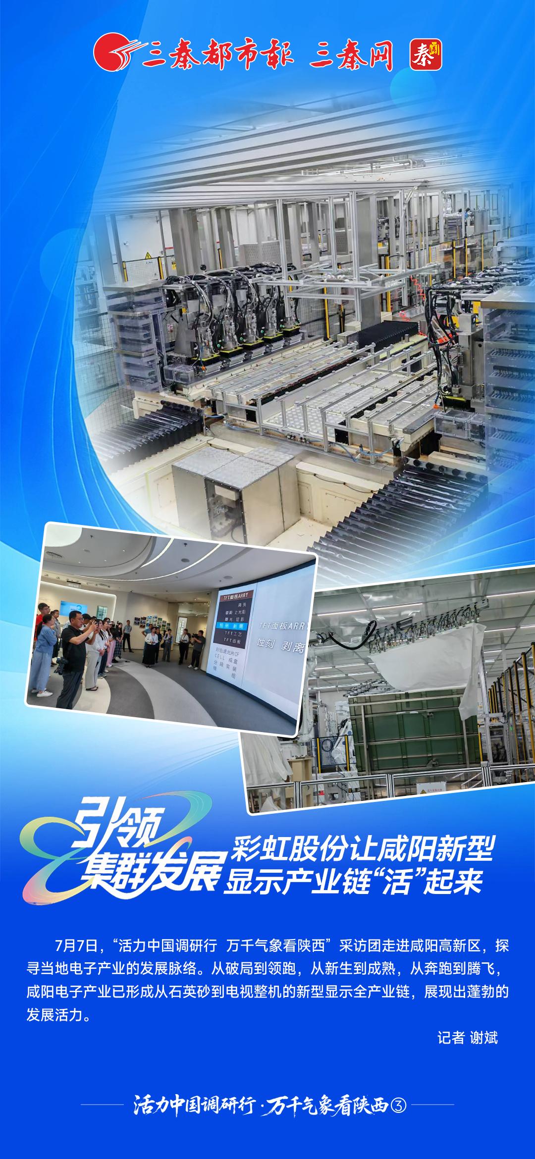 活力中国调研行·万千气象看陕西③丨引领集群发展 彩虹股份让咸阳新型显示产业链“活”起来
