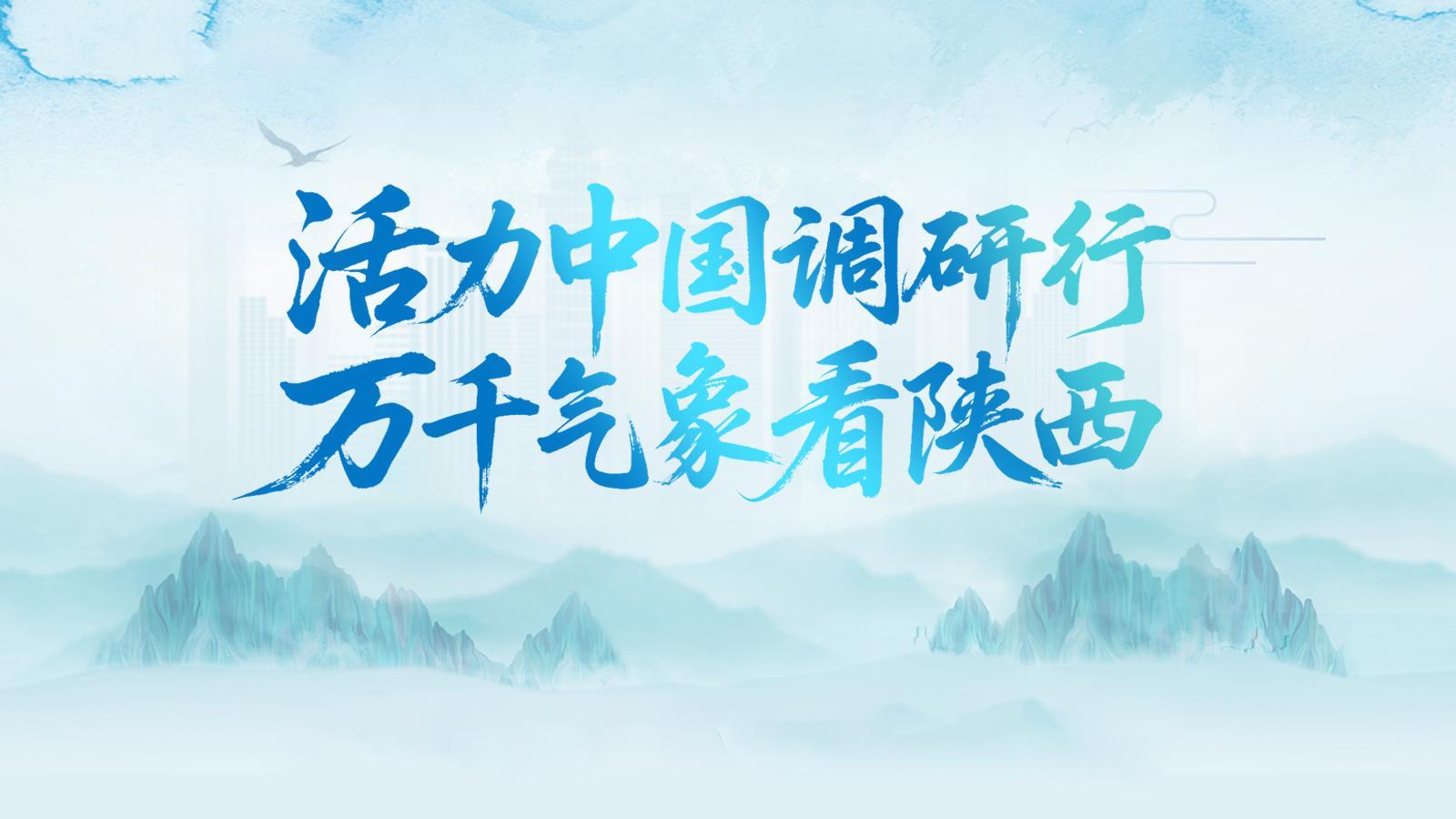 专题丨活力中国调研行·万千气象看陕西
