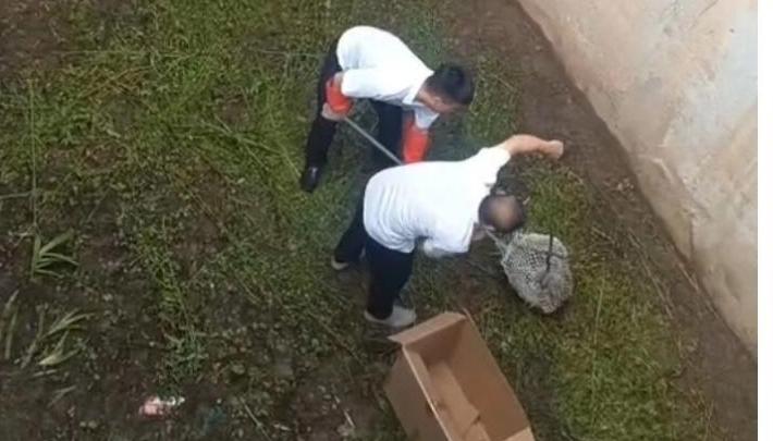 守护绿水青山 黑河水源地生态保护在行动