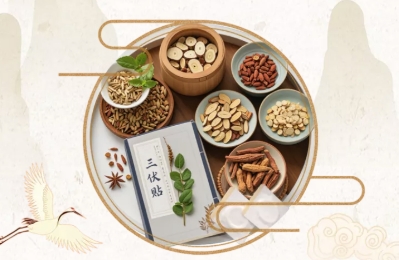 H5丨三伏贴“说明书”来了！冬病夏治别乱贴！