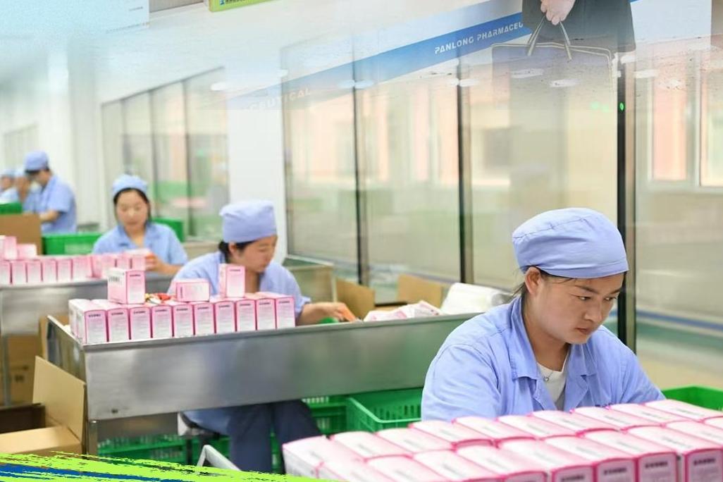 活力中国调研行·万千气象看陕西⑱丨盘龙药业深耕秦药 打造中医药高质量发展标杆
