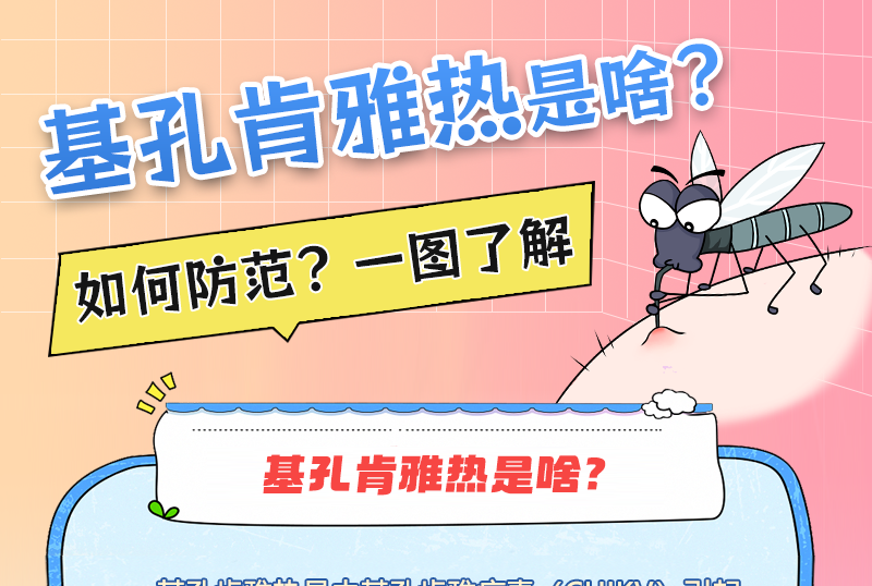 基孔肯雅热是啥？如何防范？一图了解