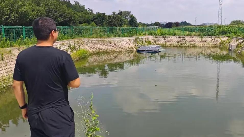 11处已整治农村黑臭水体接受“体检”