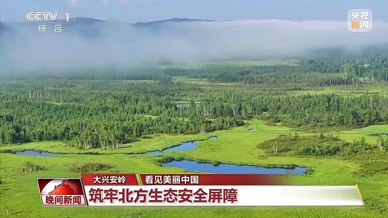 看见美丽中国丨停伐十年 看“绿色宝库”大兴安岭的转型路→