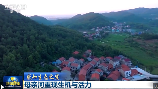 感知生态之变丨母亲河重现生机与活力