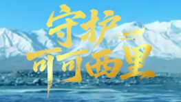 守护可可西里｜枪声已沉寂，他们依然坚守生命“大产房”