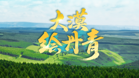 近观“两山”丨大漠绘丹青