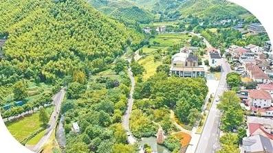 余村潘家兄弟二十年