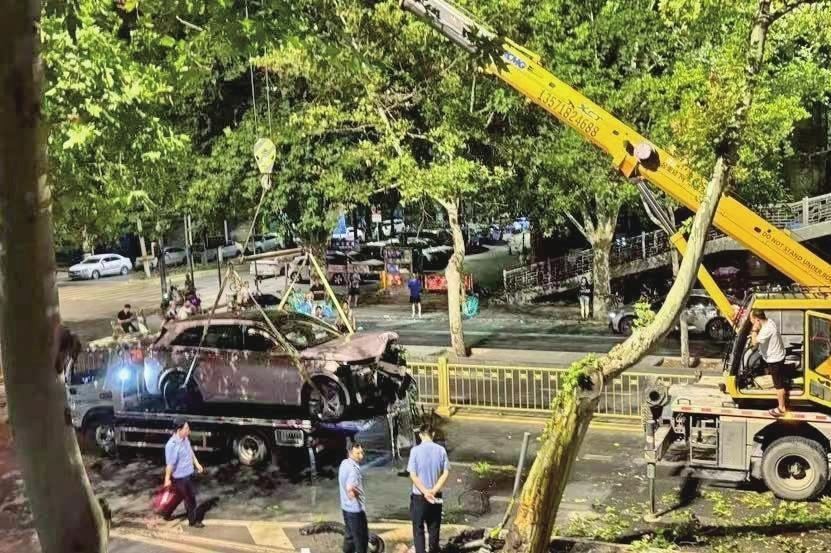 西安一汽车“骑”上行道树 女司机受伤送医