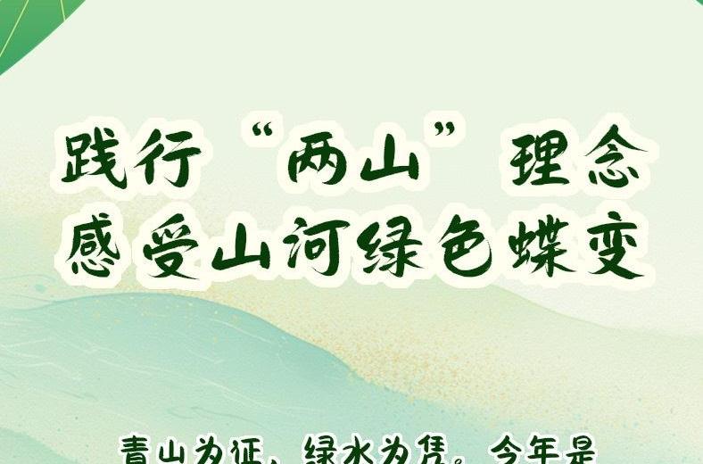 好评中国｜手绘长卷：践行“两山”理念，感受山河绿色蝶变