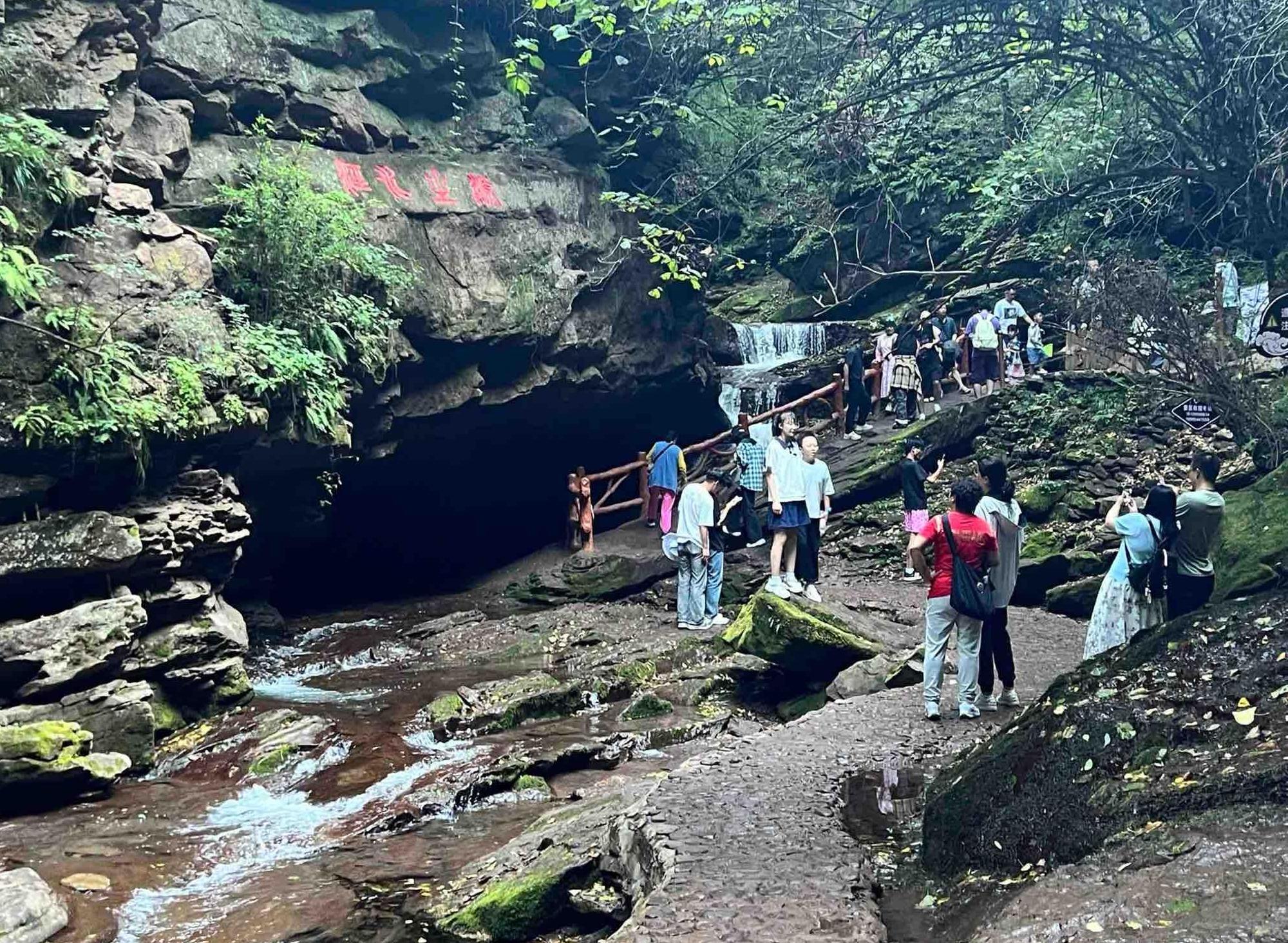 百家旅行社走进宁夏泾源 探索“18℃的夏天”清凉魅力