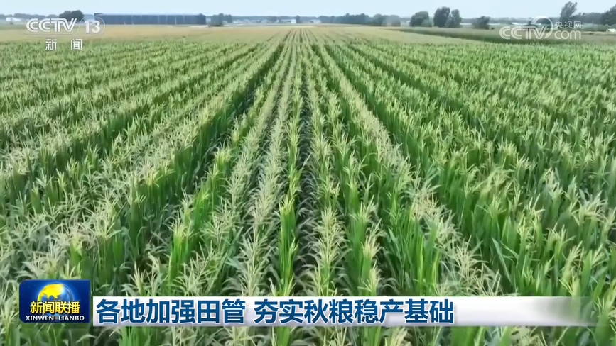 各地加强田管 夯实秋粮稳产基础