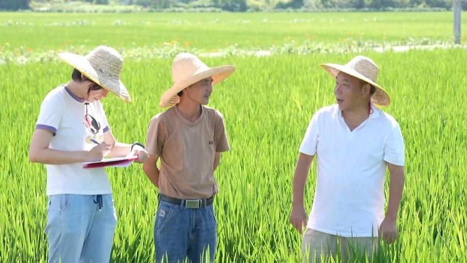 新华视点丨平凡岗位上的“追光者”