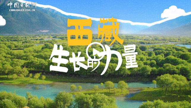 辉煌60载 魅力新西藏丨西藏生长的力量
