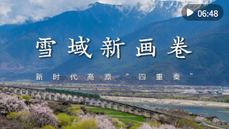 雪域新画卷——新时代高原“四重奏”