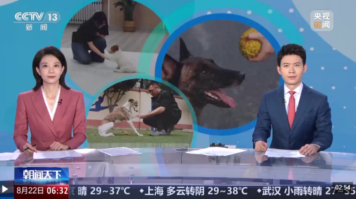 美好生活里的新职业 服务犬驯养师正式入编新工种