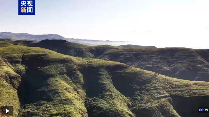 云海漫山 山西左云五路山藏着“牛群伴云”的诗意