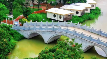 活力中国调研行丨福建这个荔枝村靠“励志”破圈