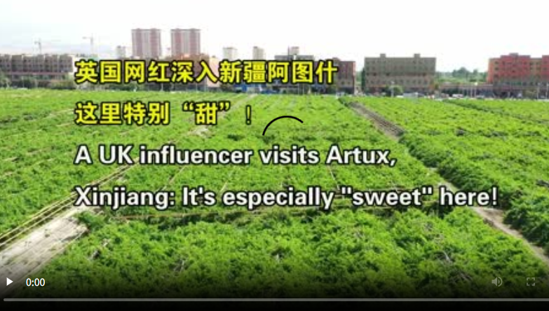 网红新疆四季行·邂逅昆仑丨英国网红伊恩：新疆阿图什，这里太“甜”了！