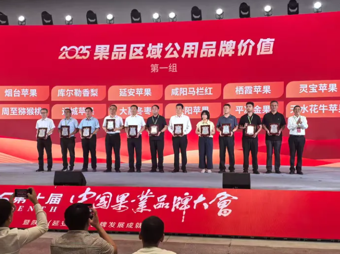 “大荔冬枣”品牌强音闪耀果业舞台再次进入中国果品前十强