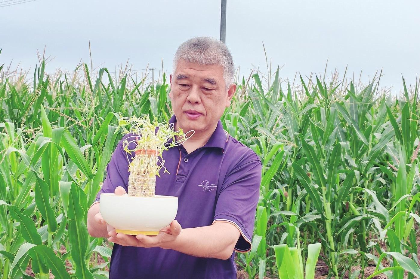 秦地七夕：非遗织就的千年浪漫长卷