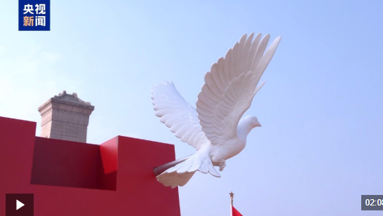 “期待实现中华民族伟大复兴” 纪念大会引发台湾岛内舆论关注