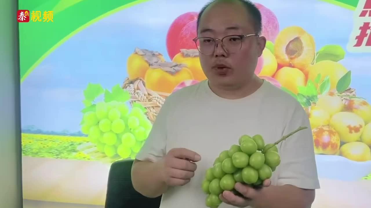 大荔“单腿”新农人张博：以电商直播为乡村振兴注入“助残力量”