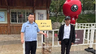 警民接力救助落难雏鸟