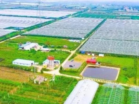 开启农产品直供新模式 陕西省农产品流通与消费展现新活力