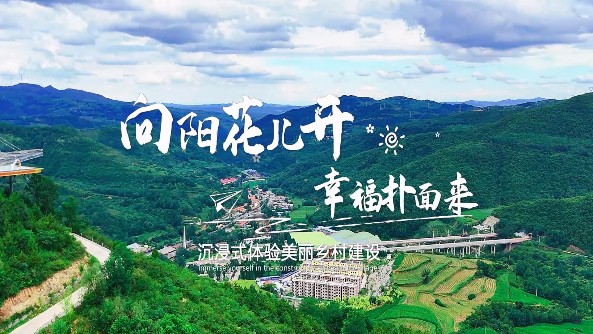 向阳花儿开 幸福扑面来 沉浸式体验美丽乡村建设