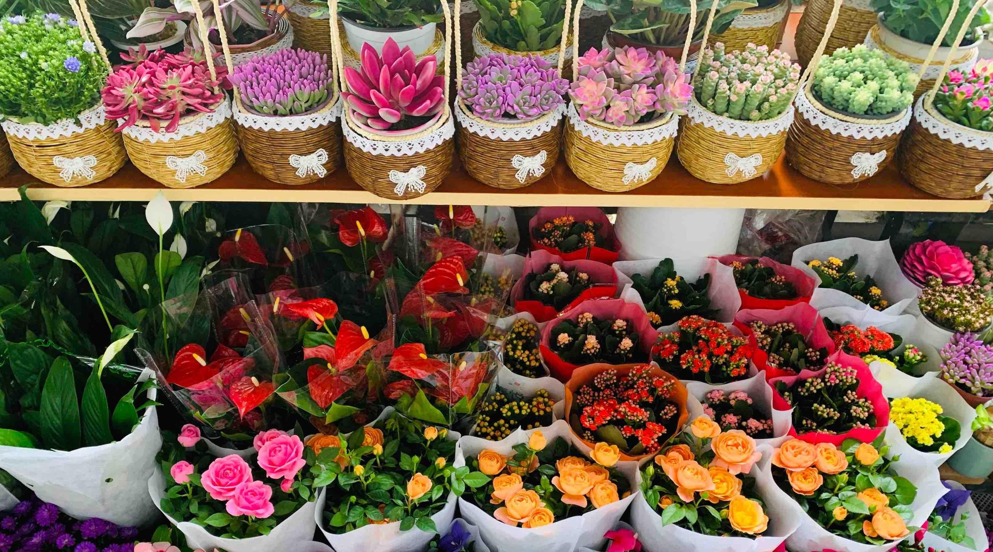 西安人的秋日浪漫，藏在这个花香四溢的地方……
