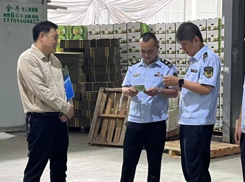金秋“护桃”记：周至县市场监管局全程守护43万亩“秦岭甜心”甜蜜上市