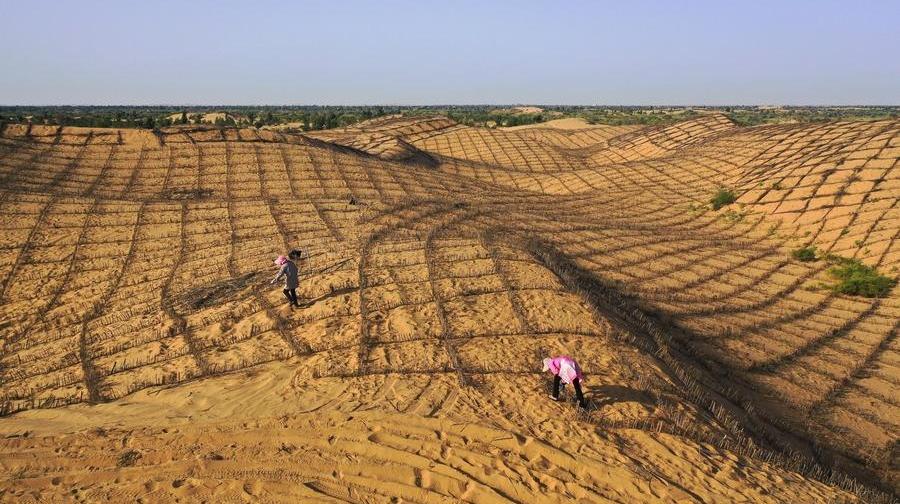 China shares decades of anti-desertification experience at int
