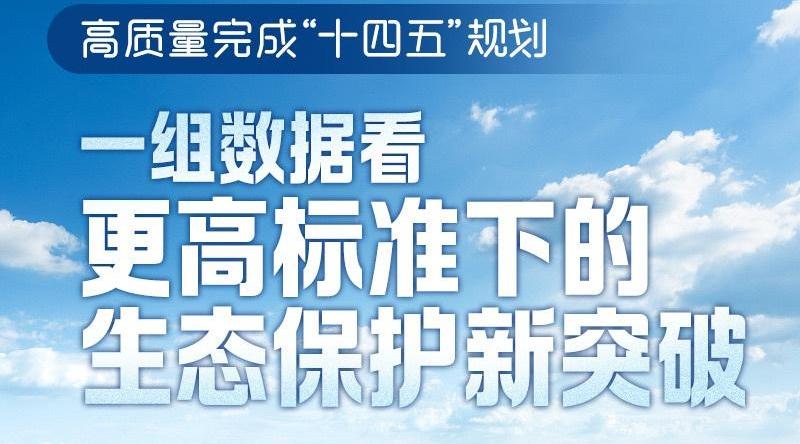 高质量完成“十四五”规划丨一组数据看更高标准下的生态保护新突破