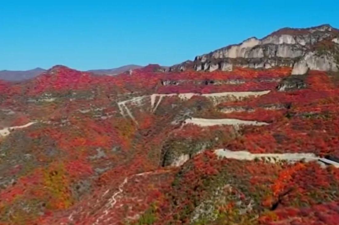 “两节”机票预订进入高峰期 小众目的地受青睐