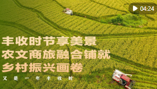 又是一年丰收时｜丰收时节享美景，农文商旅融合铺就乡村振兴画卷