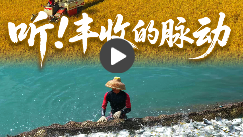 声动中国｜每一粒丰收，都是时间的诗