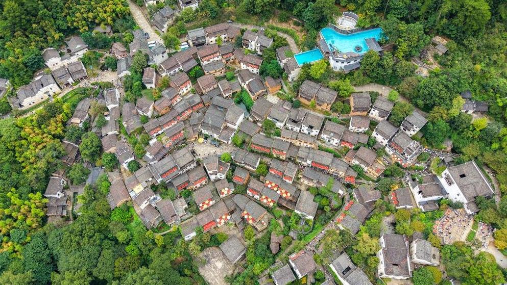 中国农民丰收节｜晒出一年好“丰”景