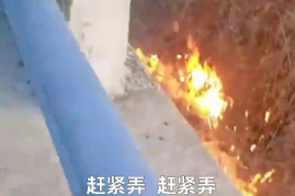 发布会上，这位陕西大姐获部长点赞！