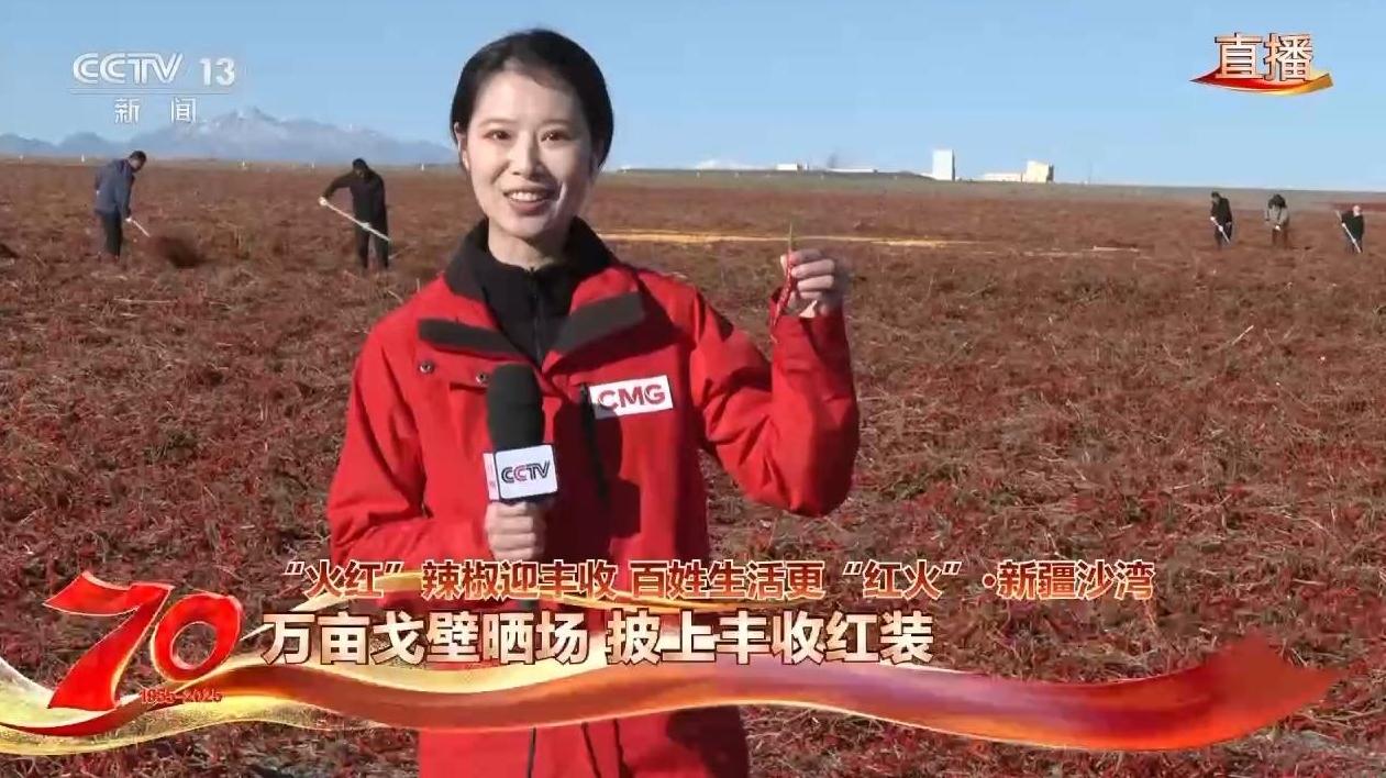 在新疆万亩戈壁晾晒场 看“火红辣椒”带来“红火日子”