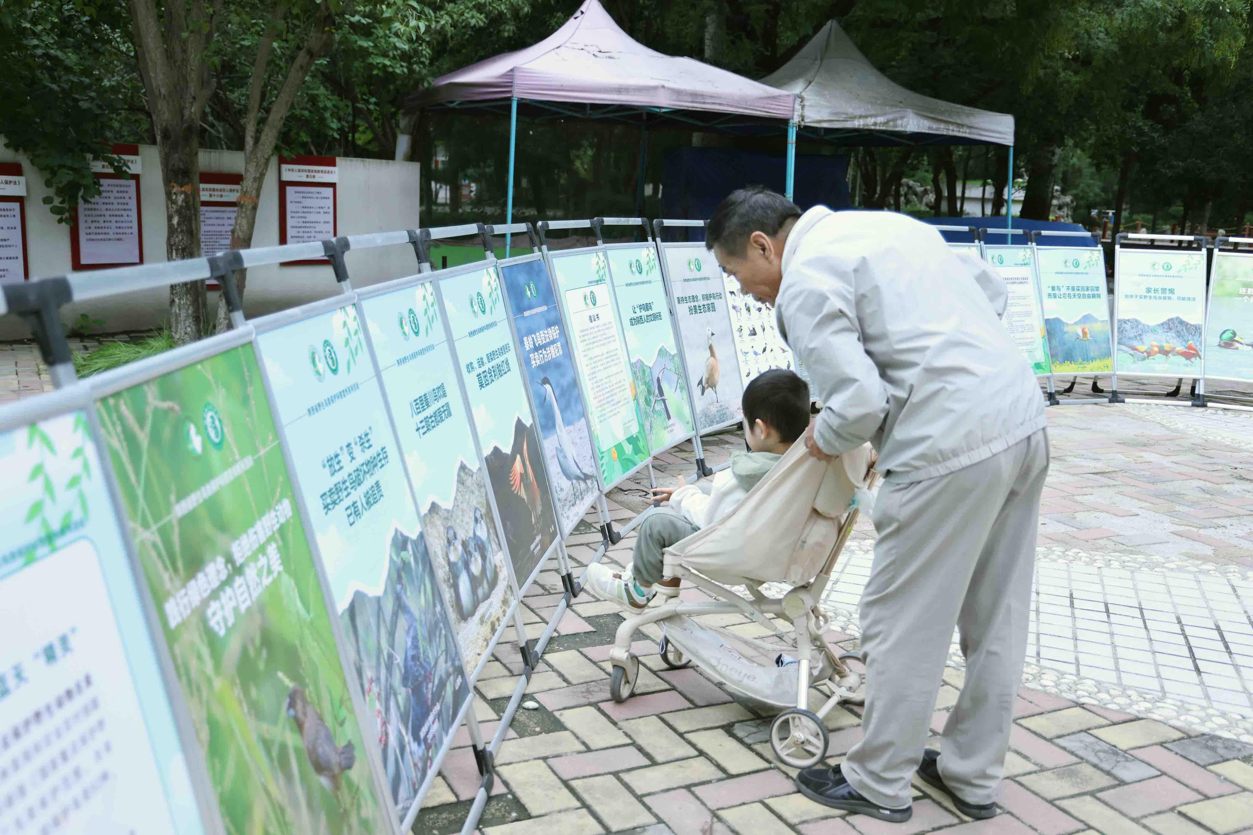 莲湖区开展野生动物保护宣传月系列活动